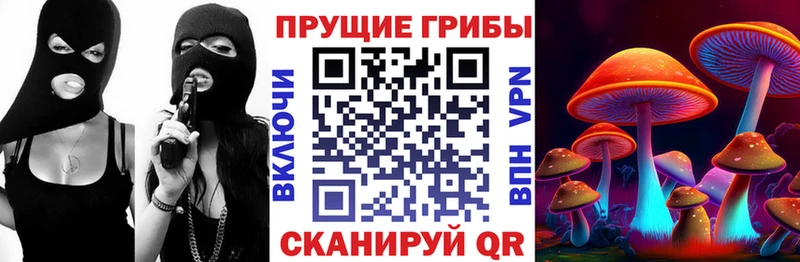 Псилоцибиновые грибы прущие грибы omg Вяземский